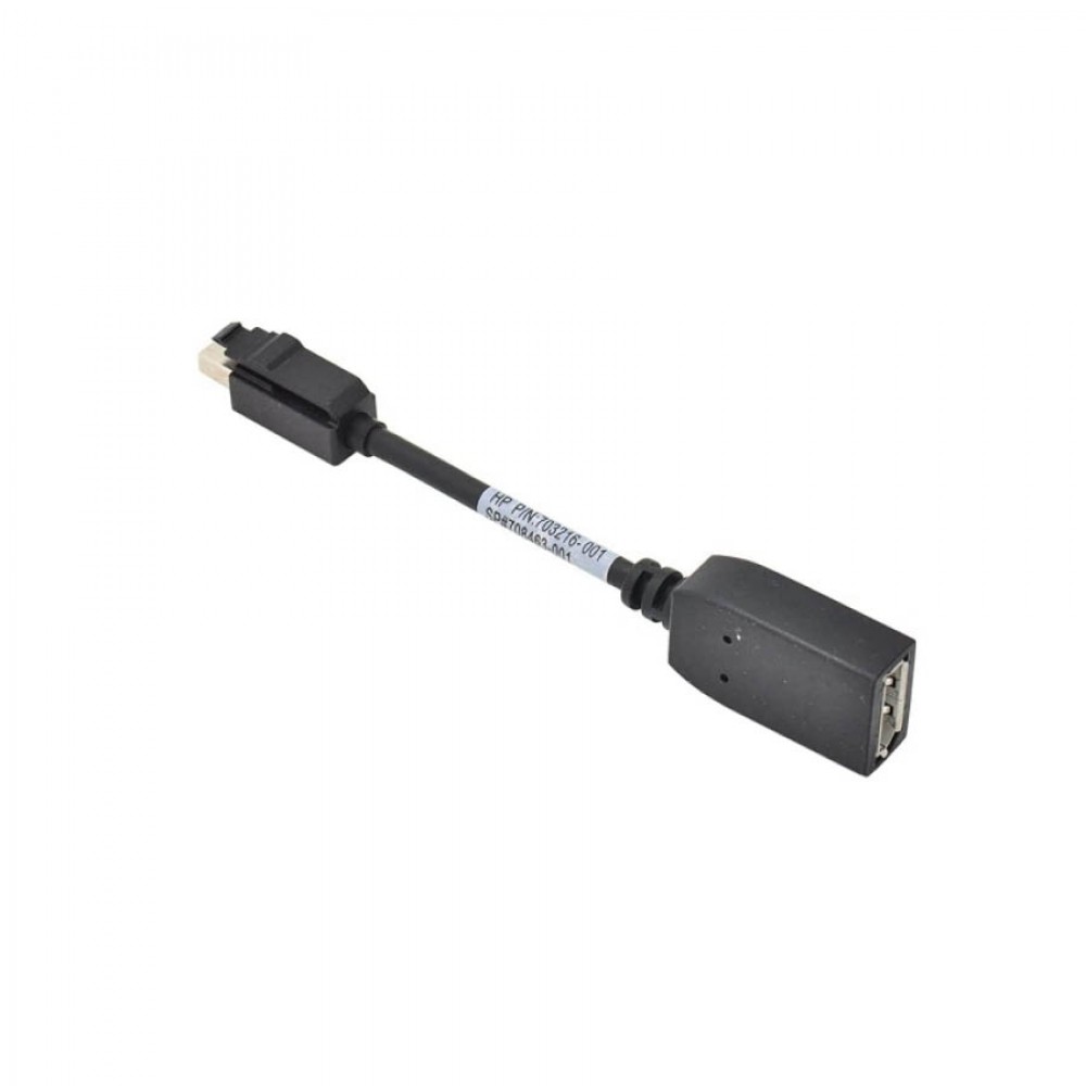 HP Mini DisplayPort to DisplayPort Video Signal Adapter Converter (703216-001)